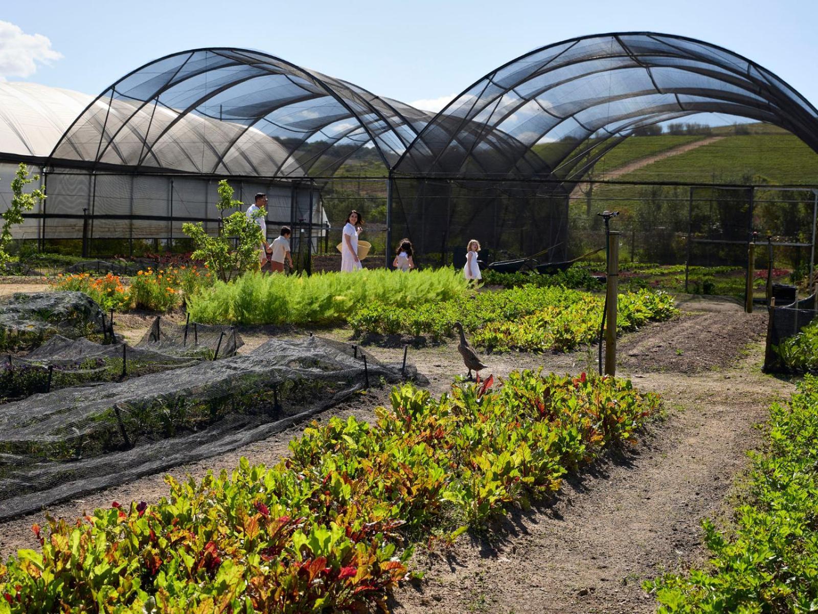 Spier Hotel And Wine Farm Stellenbosch Exterior foto