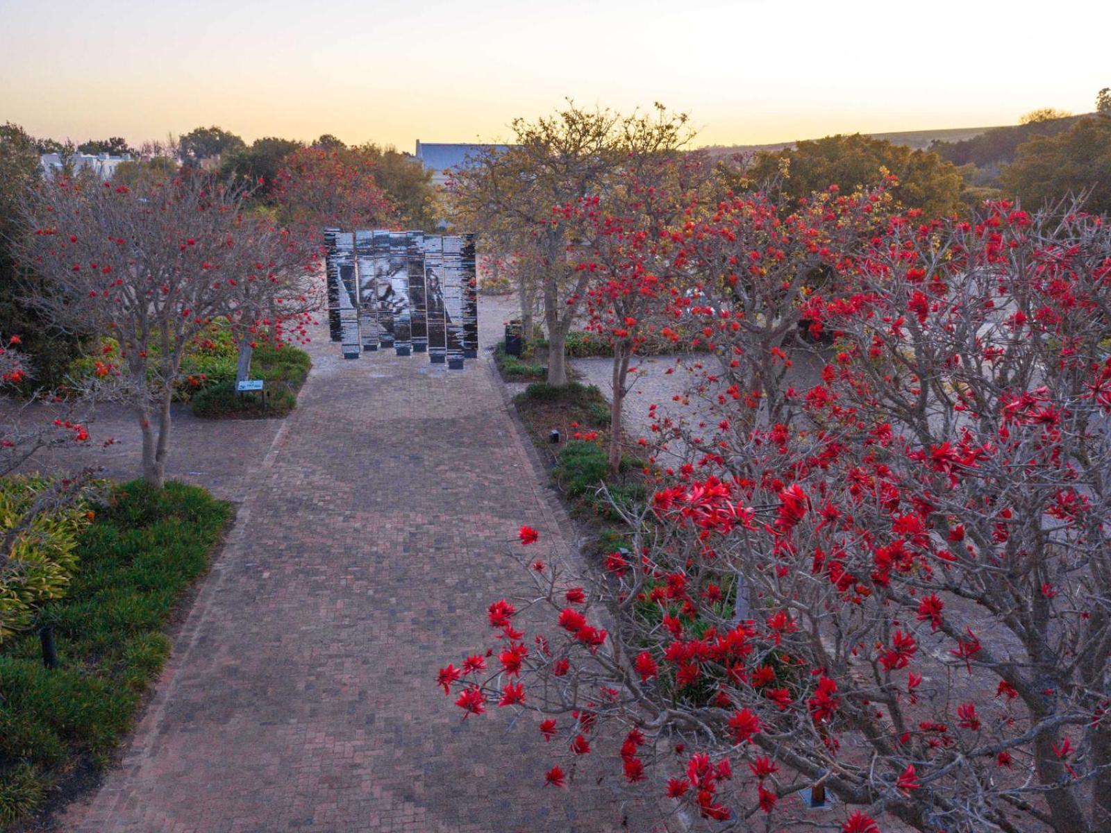 Spier Hotel And Wine Farm Stellenbosch Exterior foto